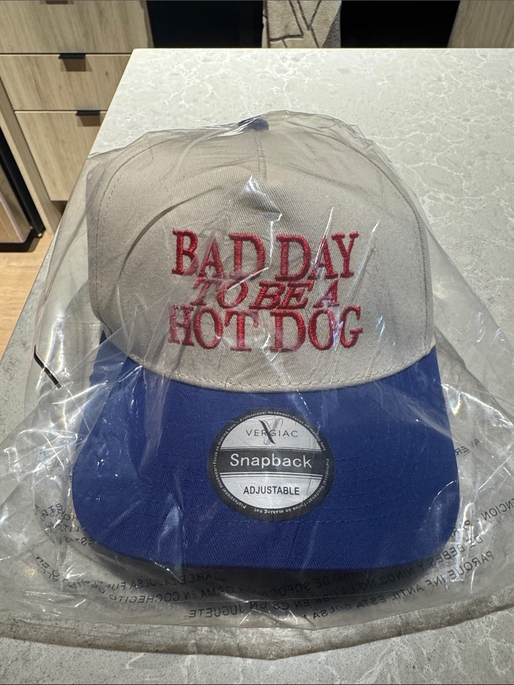 'Bad Day to Be a Hot Dog' SnapBack Hat Red, Beige, Blue